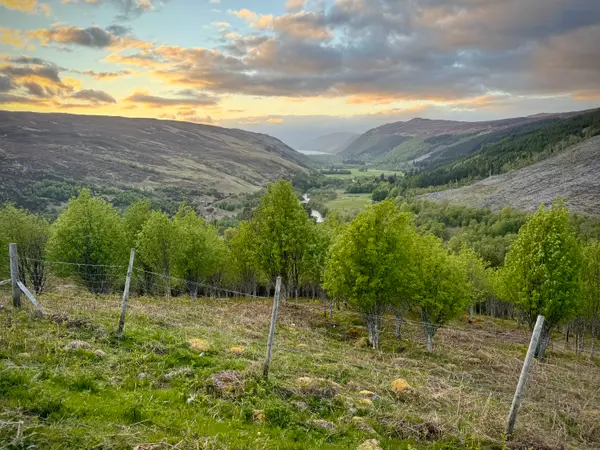 Braemore Viewpoint