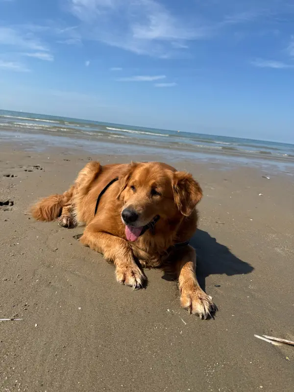 Dunkirk