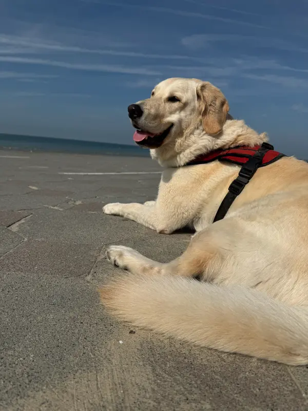 Dunkirk