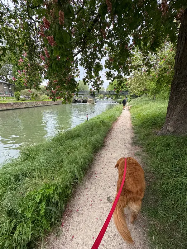 Cambridge