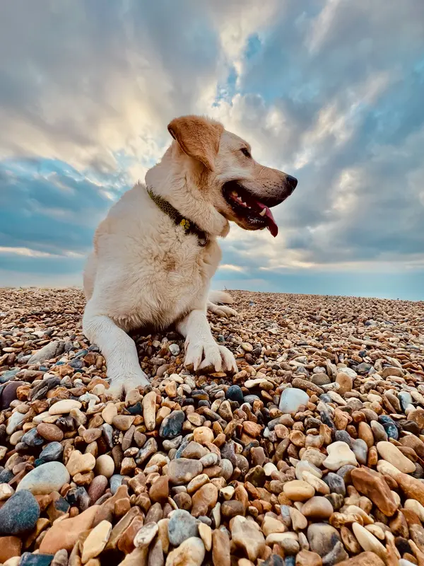 Cley Beach