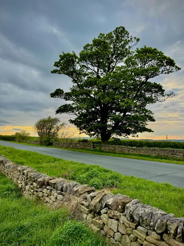 Lound House Farm Caravan Park