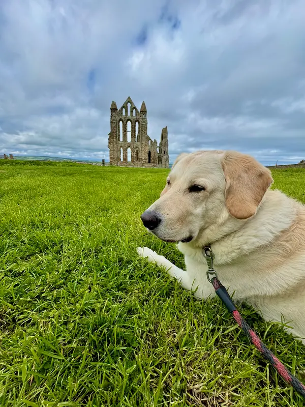 Whitby Abbey